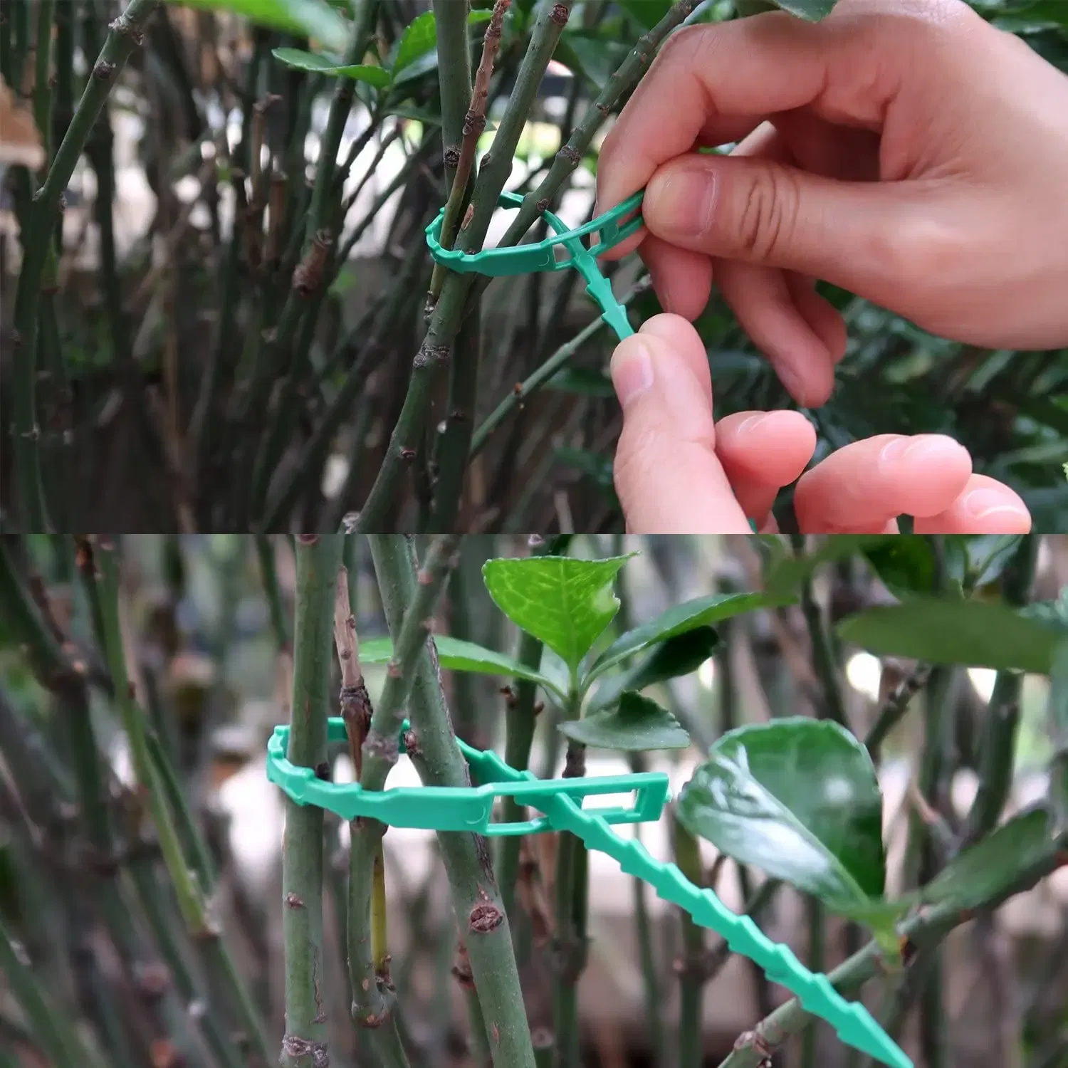 Size: L, Color: Beige - 30/50/100/200Pcs Reusable Garden Cable Ties Plant Support Shrubs Fastener Tree Locking Nylon Adjustable Plastic Cable Ties Tools