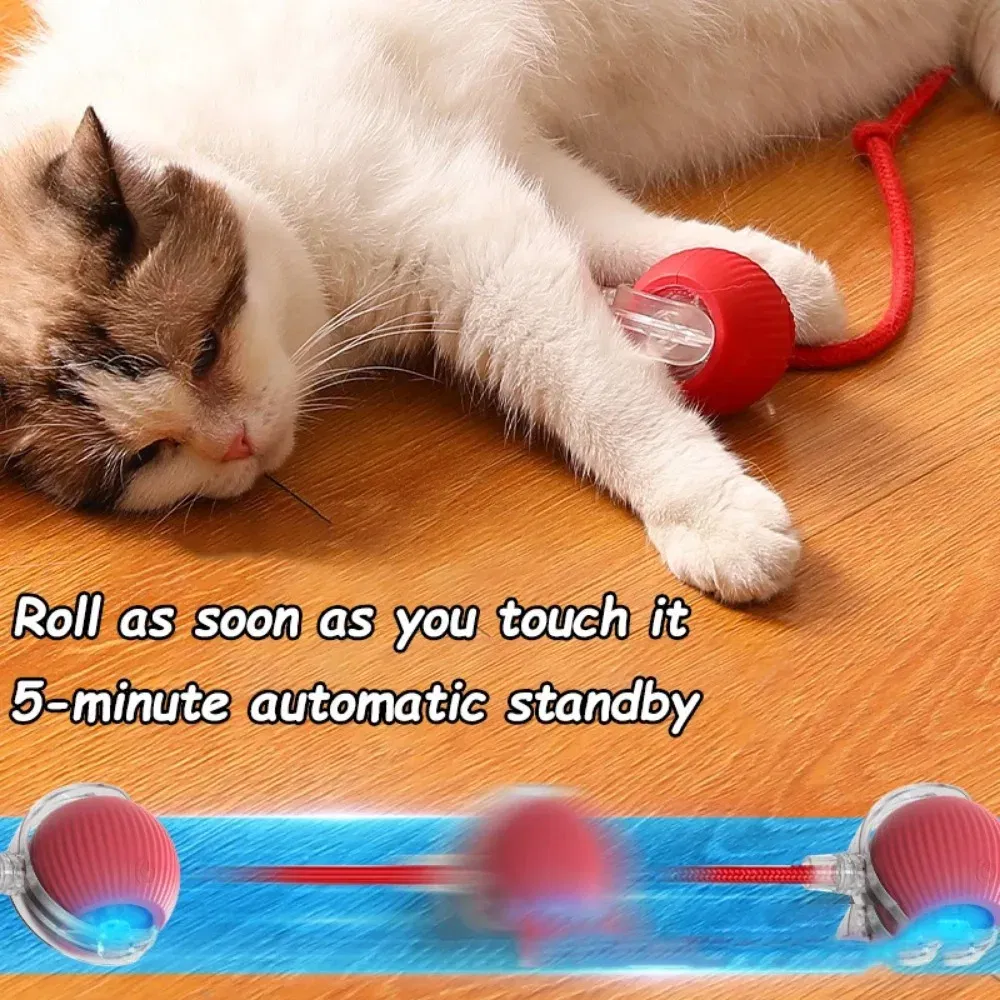 Color: Pink - New Cat Interactive Ball Toy Automatic Rolling Ball Faux Tail Rechargeable Smart Pet Electric Toy Dog Cat Training Imitate Mouse