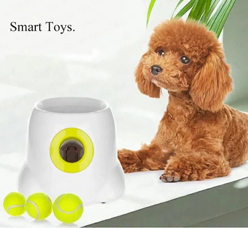 Dog Automatic Ball Launcher