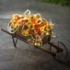 Firefly Bunch Lights(3M/120 INCHES)