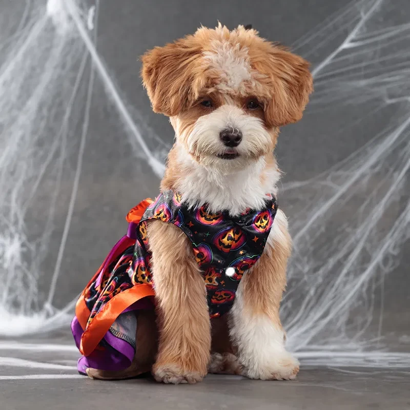 Dog Clothes Halloween Cute Double-layer Pet Skirt