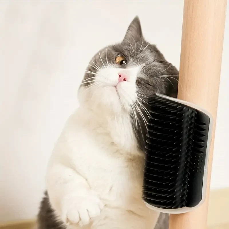 Pet Grooming Station - Wall-Mounted,