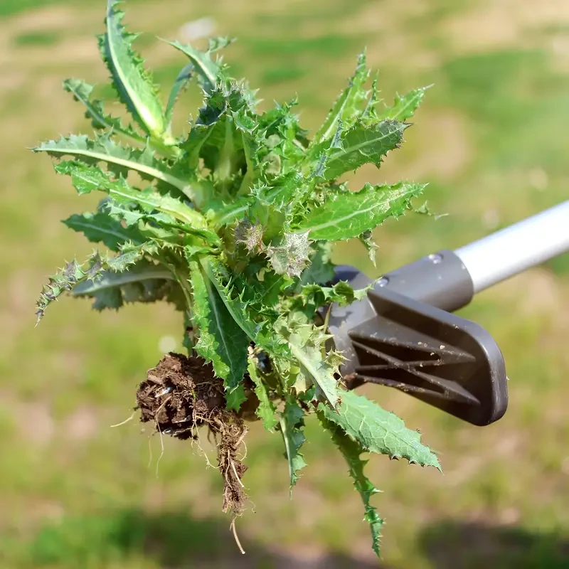 1 Pack, Upgraded Weed Puller, Stand Up Weeder