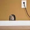 3D Mouse Reading Book in Mouse Hole - Wall Decal Sticker