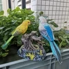 Talking Parrots Birds Toys