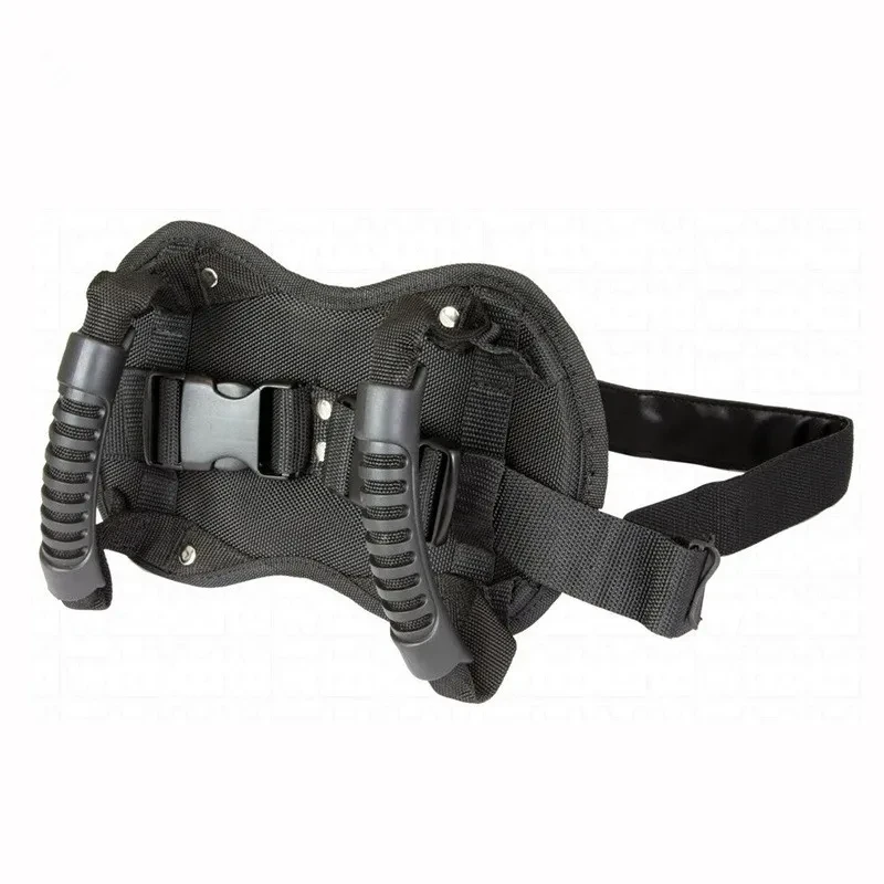 Motorcycle Pillion Harness