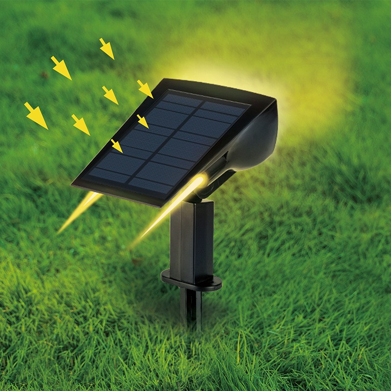 Garden Lights